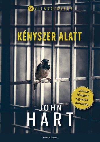 KÉNYSZER ALATT