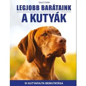 LEGJOBB BARÁTAINK A KUTYÁK