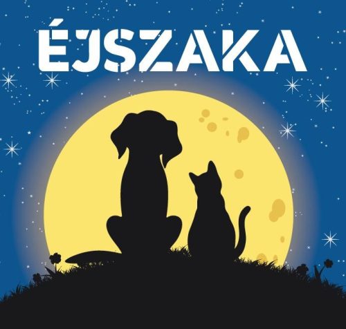 ÉJSZAKA