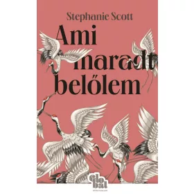 AMI MARADT BELŐLEM