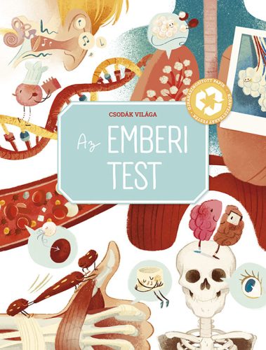 AZ EMBERI TEST - CSODÁK VILÁGA