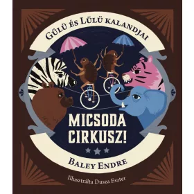 BALEY ENDRE: GÜLÜ ÉS LÜLÜ KALANDJAI - MICSODA CIRKUSZ!