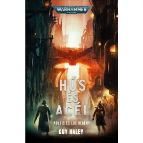 HÚS ÉS ACÉL - NOCTIS ÉS LUX REGÉNY