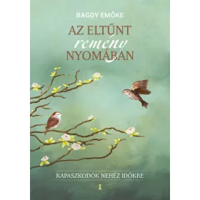 AZ ELTŰNT REMÉNY NYOMÁBAN