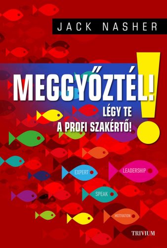 MEGGYŐZTÉL