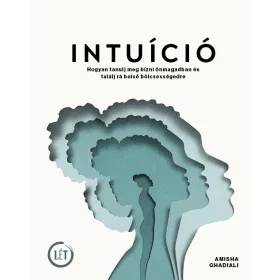   INTUÍCIÓ - HOGYAN TANULJ MEG BÍZNI ÖNMAGADBAN ÉS TALÁLJ RÁ BELSŐ BÖLCSESSÉGEDRE