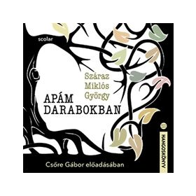 APÁM DARABOKBAN - HANGOSKÖNYV