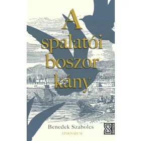 A SPALATÓI BOSZORKÁNY
