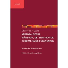   VEKTORALGEBRA; MÁTRIXOK, DETERMINÁNSOK;  TÖBBVÁLTOZÓS FÜGGVÉNYEK  (2.KIADÁS)