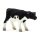 MOJO HOLSTEIN BORJÚ ÁLLÓ S
