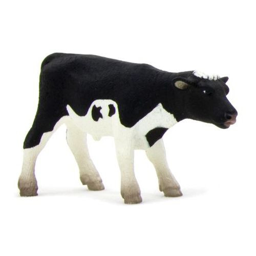 MOJO HOLSTEIN BORJÚ ÁLLÓ S