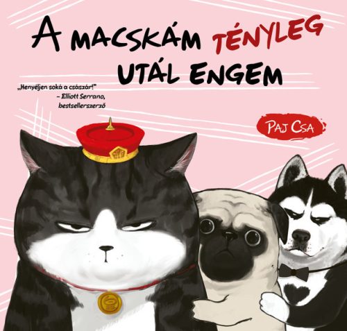 A MACSKÁM TÉNYLEG UTÁL ENGEM (MACSKA ÉS KUTYA 2.)