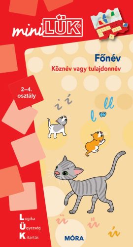 FŐNÉV - KÖZNÉV VAGY TULAJDONNÉV (MINILÜK 2-4. OSZT.)