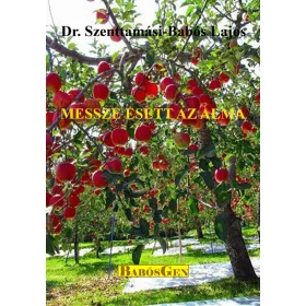 MESSZE ESETT AZ ALMA
