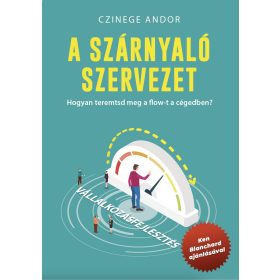   A SZÁRNYALÓ SZERVEZET - HOGYAN TEREMTSD MEG A FLOW-T A CÉGEDBEN?