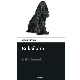 BUKSIKÁM - TANÍTÓ TÖRTÉNETEK