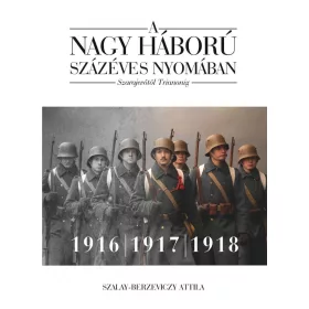   A NAGY HÁBORÚ SZÁZÉVES NYOMÁBAN: SZARAJEVÓTÓL TRIANONIG - 2. KÖTET