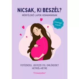 NICSAK, KI BESZÉL? MÉRFÖLDKŐ LAPOK KISMAMÁKNAK