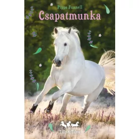 TILLY ÉS TÁLTOS 3. - CSAPATMUNKA