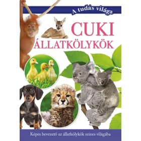 CUKI ÁLLATKÖLYKÖK