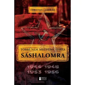 TÖBBÉ NEM MEGYÜNK VISSZA SASHALOMRA