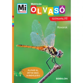 ROVAROK - MATRICÁS SZÖVEGFEJTŐ - MI MICSODA OLVASÓ