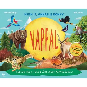 NAPPAL / ÉJSZAKA - INNEN IS, ONNAN IS KÖNYV