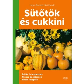 SÜTŐTÖK ÉS CUKKINI