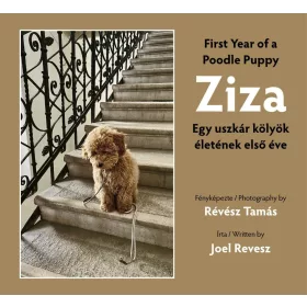 ZIZA - EGY USZKÁR KÖLYÖK ÉLETÉNEK ELSŐ ÉVE