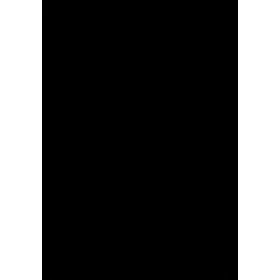   A SZOVJET TÍPUSÚ DIKTATÚRA ALKOTMÁNY- ÉS JOGTÖRTÉNETE MAGYARORSZÁGON