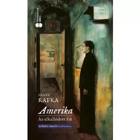AMERIKA - AZ ELKALLÓDOTT FIÚ