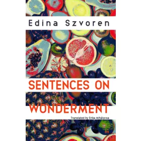 SENTENCES ON WONDERMENT
