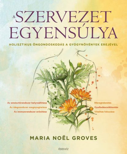 A SZERVEZET EGYENSÚLYA
