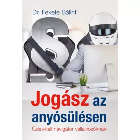   JOGÁSZ AZ ANYÓSÜLÉSEN - ÜZLETI NAVIGÁTOR VÁLLALKOZÓKNAK
