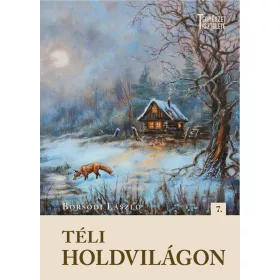 TÉLI HOLDVILÁGON