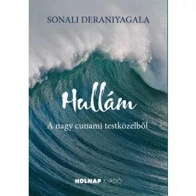 HULLÁM - A NAGY CUNAMI TESTKÖZELBŐL