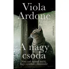 A NAGY CSODA