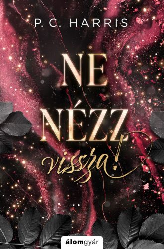 NE NÉZZ VISSZA! - ÉLFESTETT