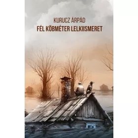 FÉL KÖBMÉTER LELKIISMERET