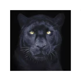 PANTHER SELFIE SQUARE