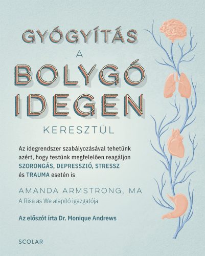 GYÓGYÍTÁS A BOLYGÓIDEGEN KERESZTÜL
