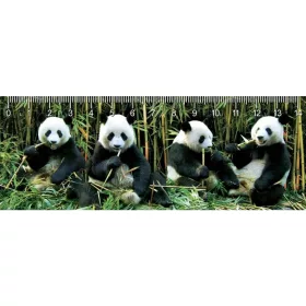 DEEP PANDAS