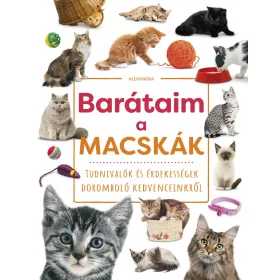 BARÁTAIM, A MACSKÁK