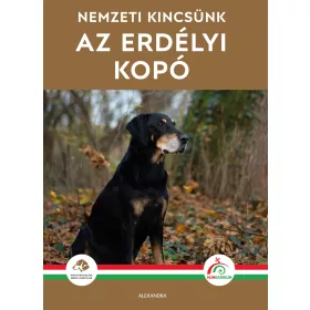 NEMZETI KINCSÜNK AZ ERDÉLYI KOPÓ