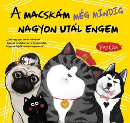 A MACSKÁM MÉG MINDIG NAGYON UTÁL ENGEM