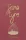 JANE EYRE (WORDSWORTH COLLECTORS ED.)