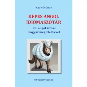   KÉPES ANGOL IDIÓMASZÓTÁR - 300 ANGOL SZÓLÁS MAGYAR MEGFELELŐKKEL