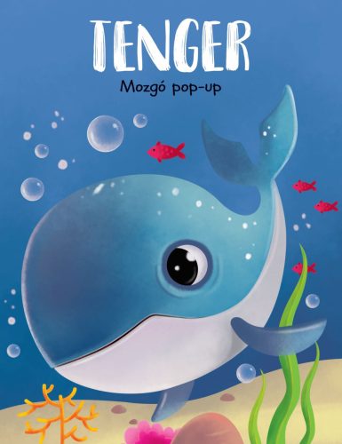 TENGER - MOZGÓ POP-UP