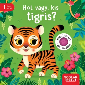 HOL VAGY, KIS TIGRIS? - NAGY, TIKOKAT REJTŐ FÜLEKKEL