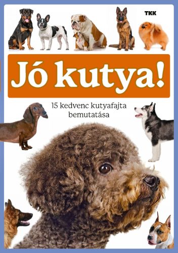 JÓ KUTYA - 15 KEDVENC KUTYAFAJTA BEMUTATÁSA